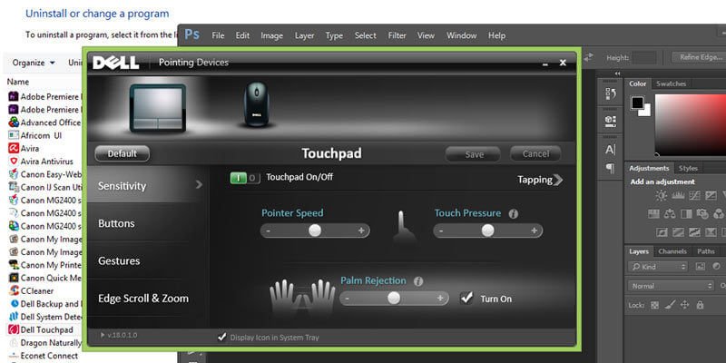 Dell touchpad settings